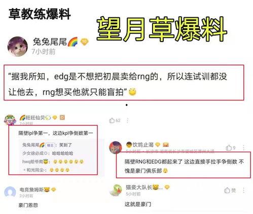 望月草最新爆料,揭秘娱乐圈惊天秘密 第2张 望月草最新爆料,揭秘娱乐圈惊天秘密 第2张