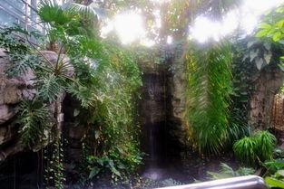 植物园在线观看,在线探索植物园的奇妙之旅