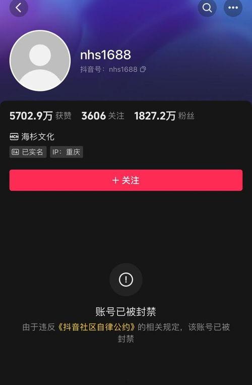 倪海杉被爆料过吗视频播放,真相究竟如何？  第1张